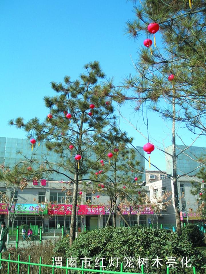 渭南市红灯笼树木亮化
